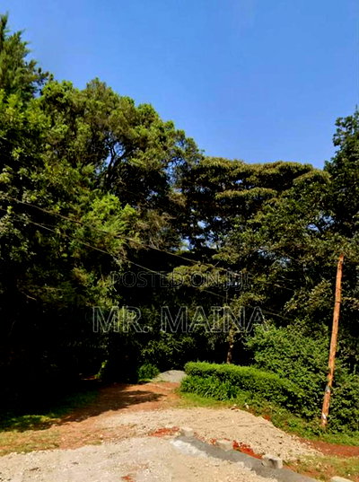 Prime 4.85 Acre's in Karen - Image 3