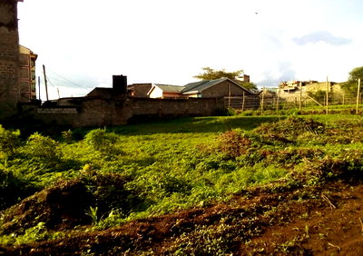1/8 Acre Commercial Plot with Garden