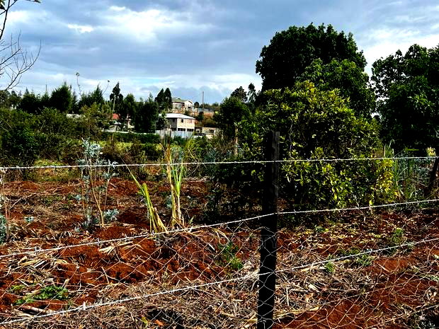 Prime Fenced Residential Plot for Sale in Kikuyu, Kamangu.