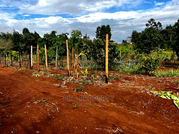 Prime Fenced Residential Plot for Sale in Kikuyu, Kamangu.