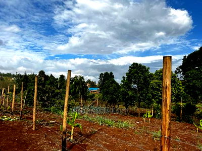 Prime Fenced Residential Plot for Sale in Kikuyu, Kamangu. - Image 12