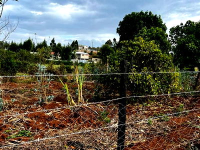 Prime Fenced Residential Plot for Sale in Kikuyu, Kamangu. - Image 13