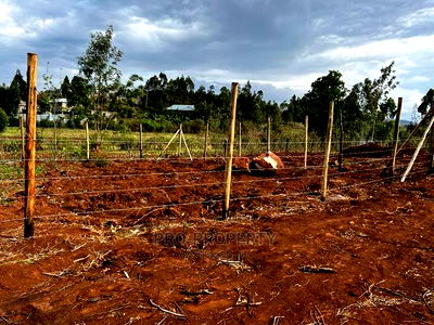 Prime Fenced Residential Plot for Sale in Kikuyu, Kamangu. - Image 8