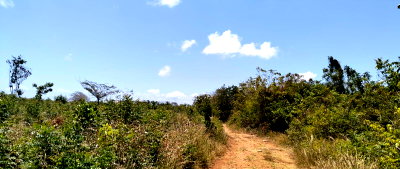 13-Acre Pet Friendly Haven