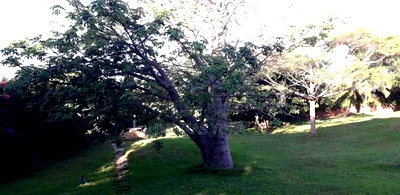 Furnished 4bdrm Villa in Malindi for sale - Image 8