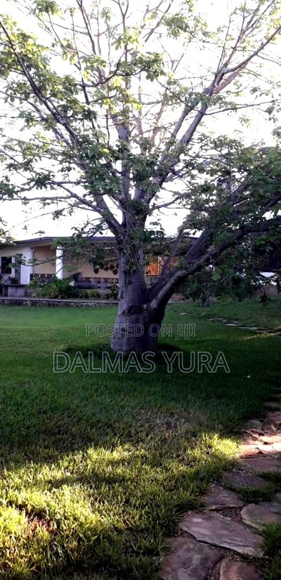 Furnished 4bdrm Villa in Malindi for sale - Image 6