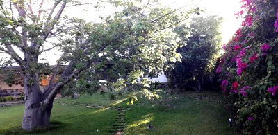 Furnished 4bdrm Villa in Malindi for sale - Image 4