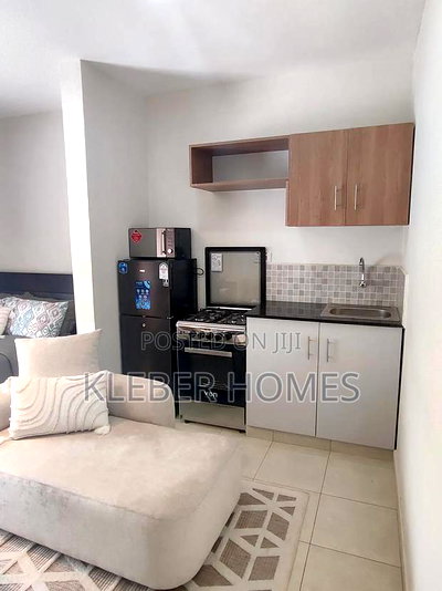 Studio Apartment in Riruta Nairobi for sale - Image 3