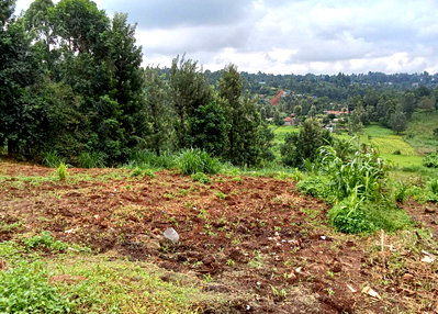 16,187sqm Plot with Garden - Kiambu