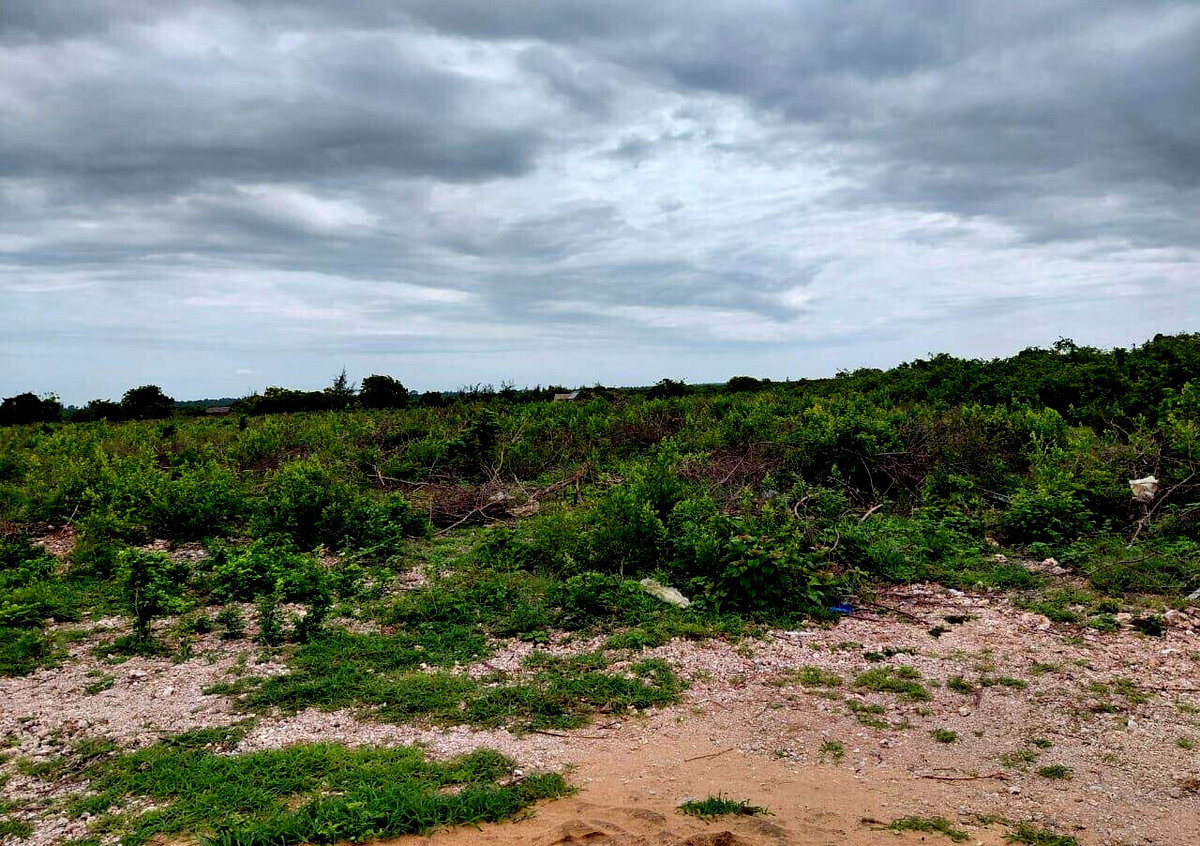 Garden Plot with Parking at KSh 96M