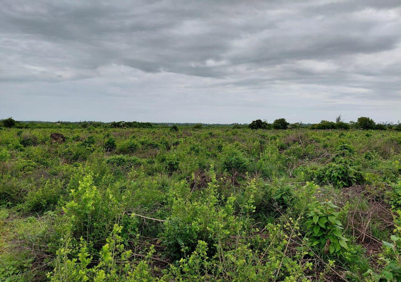 Garden Plot with Parking at KSh 96M