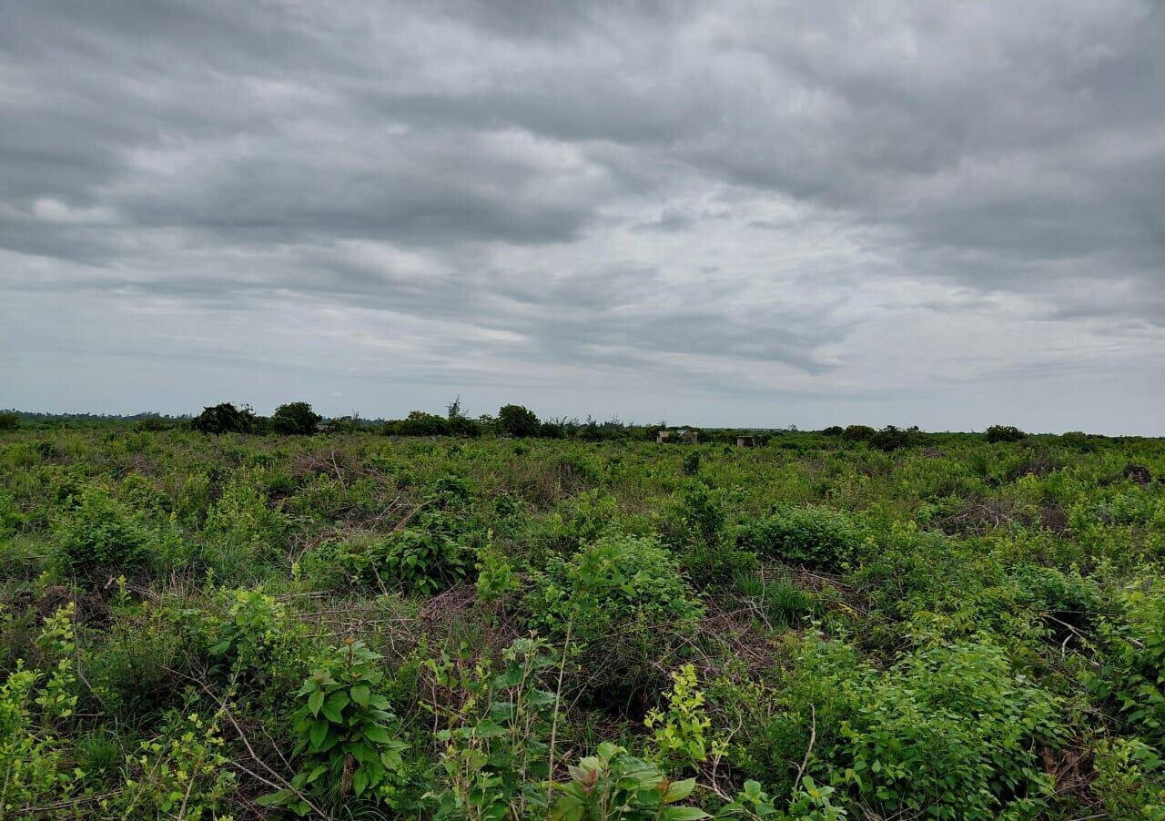 Garden Plot with Parking at KSh 96M