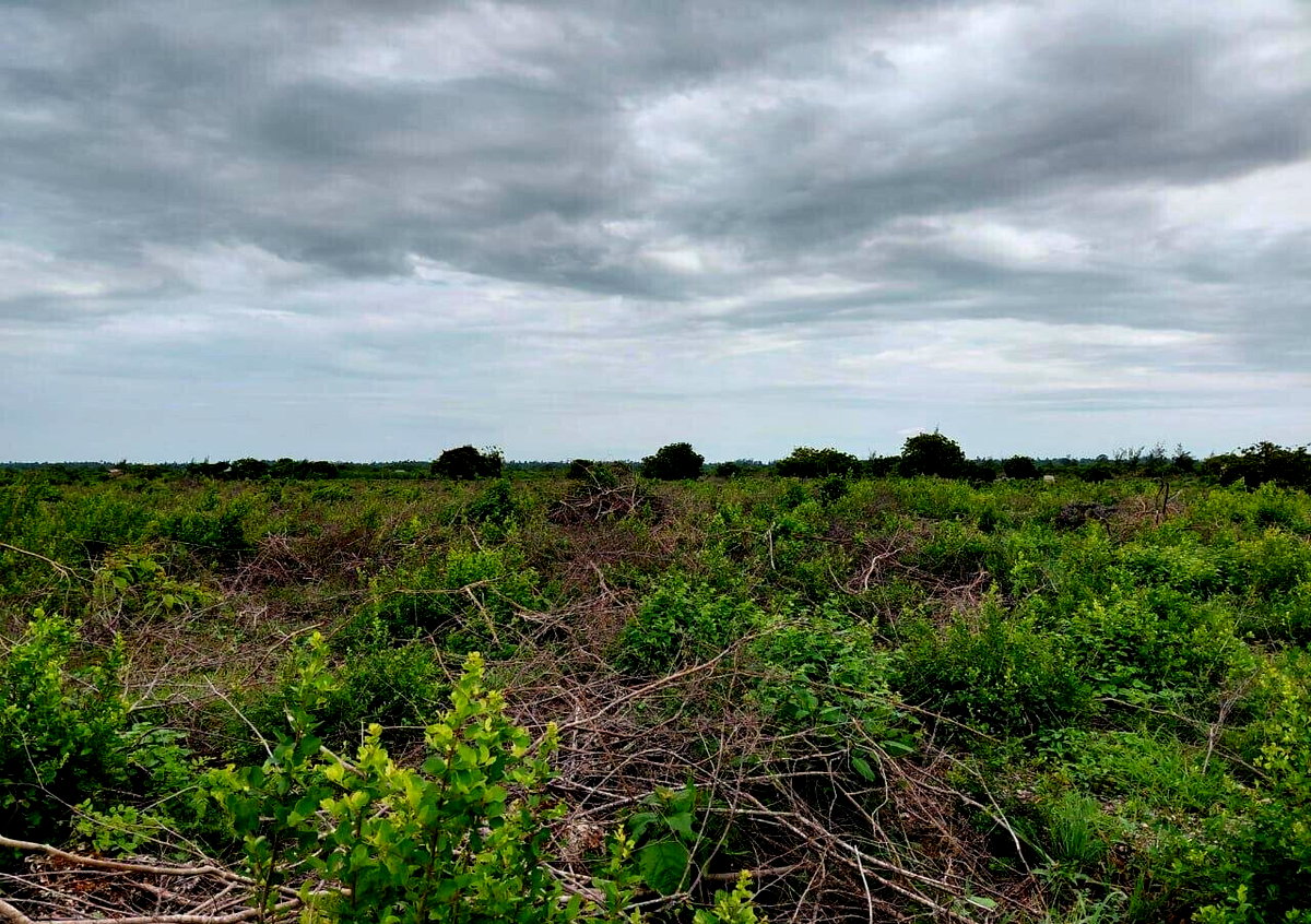 Garden Plot with Parking at KSh 96M