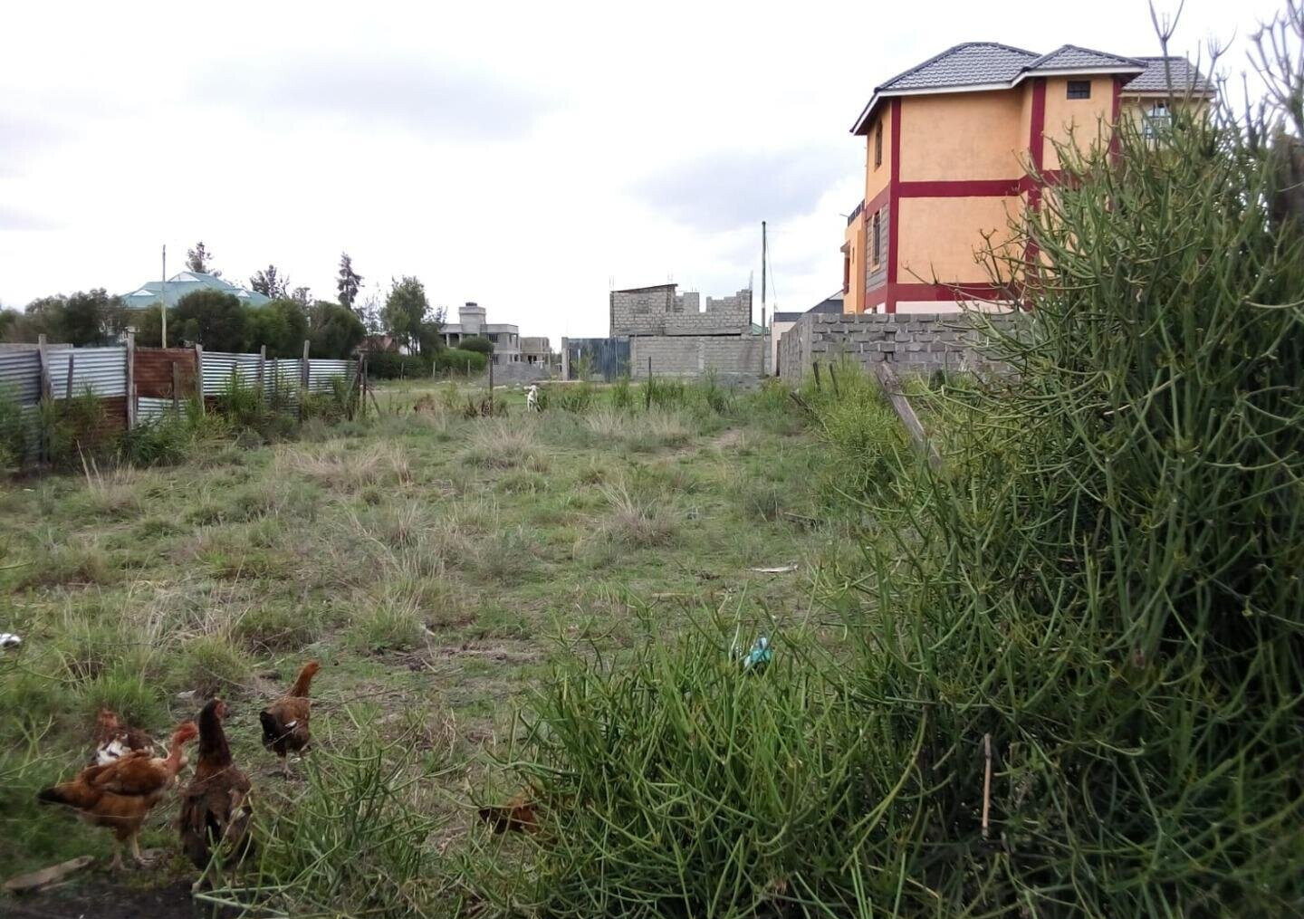40x80 Plot Under 2.5M