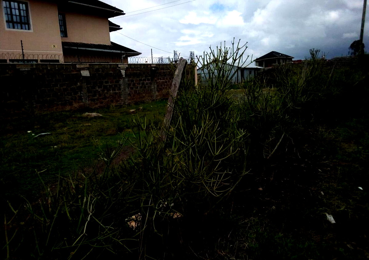 40x80 Plot Under 2.5M
