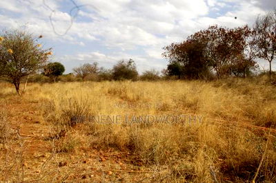 Embu County, Kiambere 6.5 Acres Agricultural Farmland - Image 19