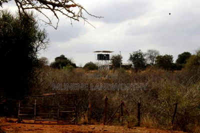 Embu County, Kiambere 6.5 Acres Agricultural Farmland - Image 14
