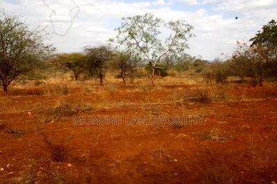 Embu County, Kiambere 6.5 Acres Agricultural Farmland - Image 12