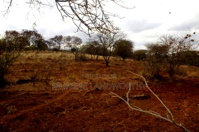 Embu County, Kiambere 6.5 Acres Agricultural Farmland - Image 15