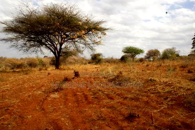 Embu County, Kiambere 6.5 Acres Agricultural Farmland - Image 10