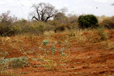 Embu County, Kiambere 6.5 Acres Agricultural Farmland - Image 13