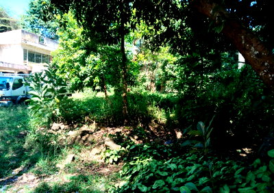 2.7-Acre Freehold Land with Mature Trees - Lower Kabete, Runda