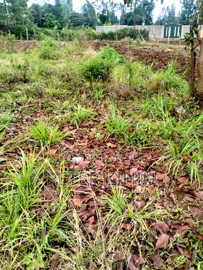 Kenol Town 1/8th Commercial/Residential PLT - Image 1