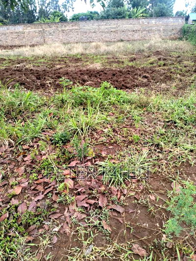 Kenol Town 1/8th Commercial/Residential PLT - Image 2