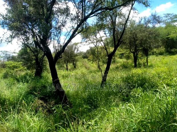 10 Acres for Sale in Salama