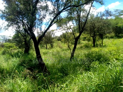 10 Acres for Sale in Salama - Image 5