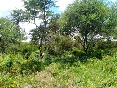 10 Acres for Sale in Salama - Image 4