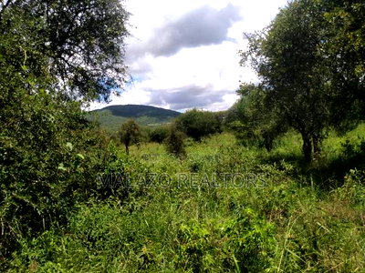 10 Acres for Sale in Salama - Image 8