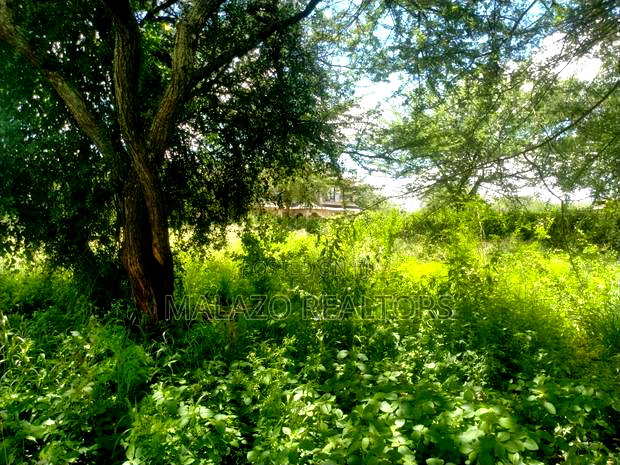 10 Acres for Sale in Salama