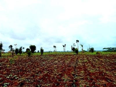 40 by 80 Residential Plot on Sale at Anmer/Kiambu - Image 4