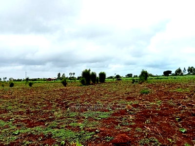 40 by 80 Residential Plot on Sale at Anmer/Kiambu - Image 2