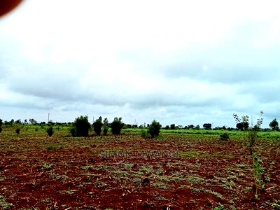 40 by 80 Residential Plot on Sale at Anmer/Kiambu - Image 5