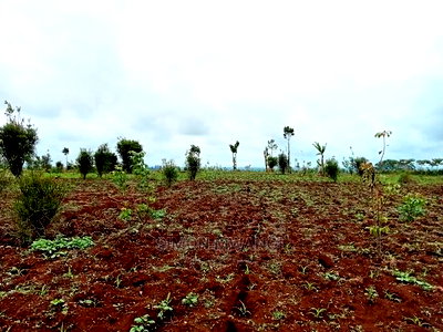 40 by 80 Residential Plot on Sale at Anmer/Kiambu - Image 6