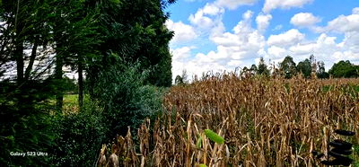 1/8 Plot for Sale in Soy Eldoret Off Navilas - Image 2