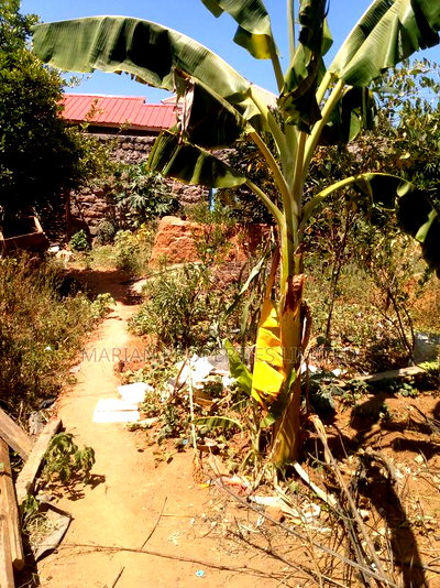 1bdrm House in Nthangu In Wote for sale - Image 5