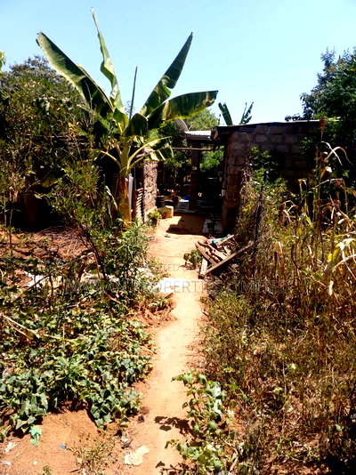 1bdrm House in Nthangu In Wote for sale - Image 2