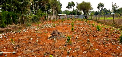 1/4 Plot for Sale in Annex Saroyot in Eldoret - Image 6