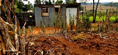 1/4 Plot for Sale in Annex Saroyot in Eldoret - Image 8