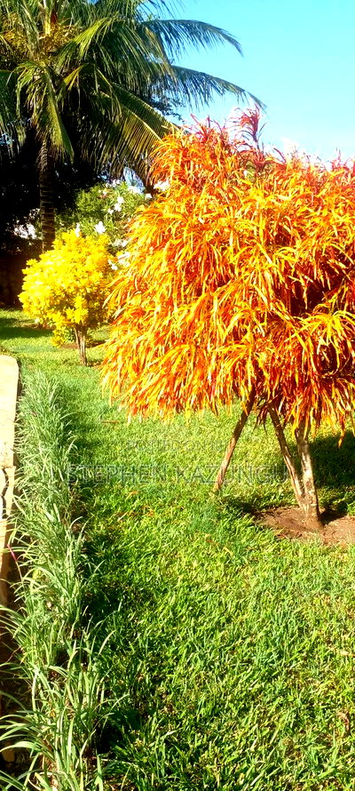 Furnished 5bdrm House in Coconut Groove 3 End, Ukunda for sale - Image 2