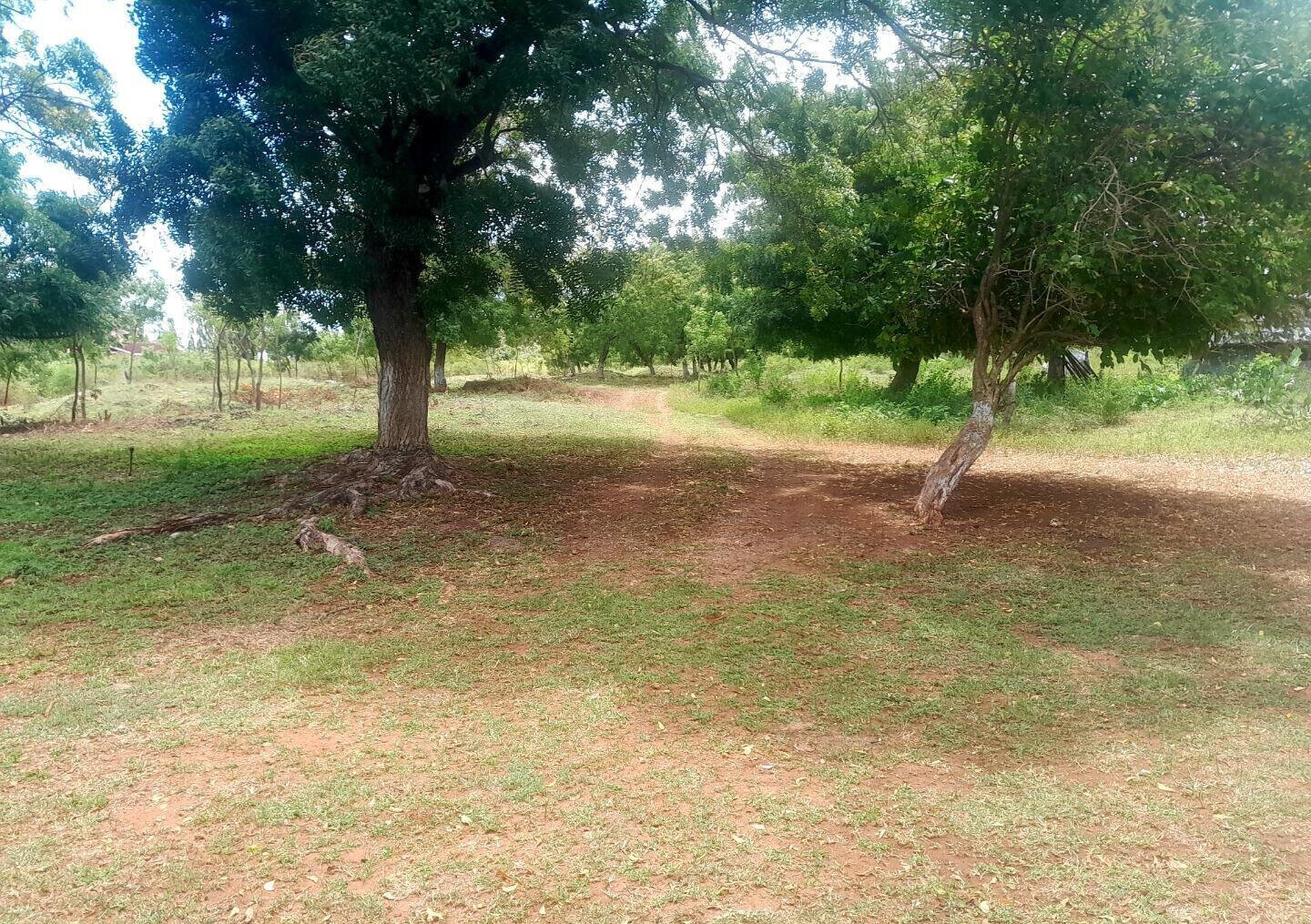 Quarter Acre in Shanzu for KSh 13M