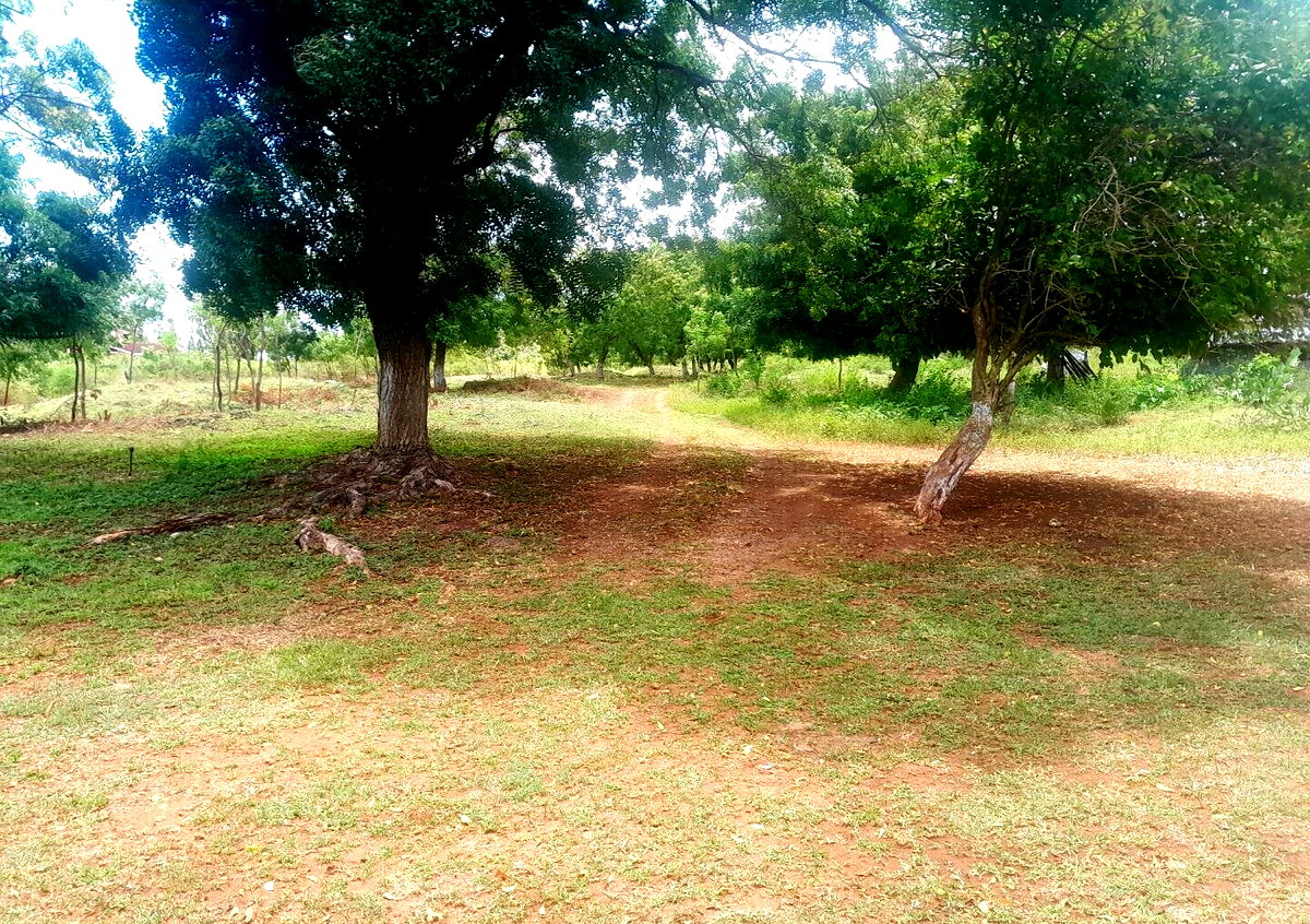 Quarter Acre in Shanzu for KSh 13M