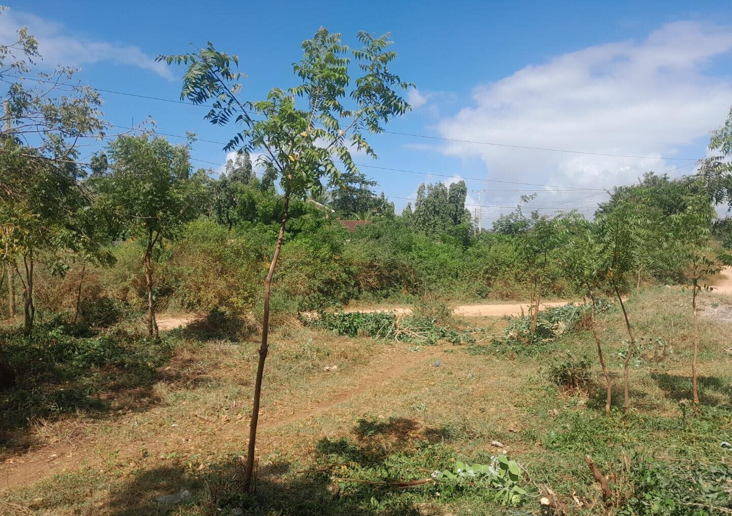 Quarter Acre in Shanzu for KSh 13M