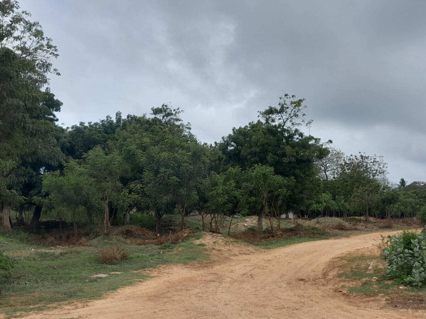 Quarter Acre in Shanzu for KSh 13M