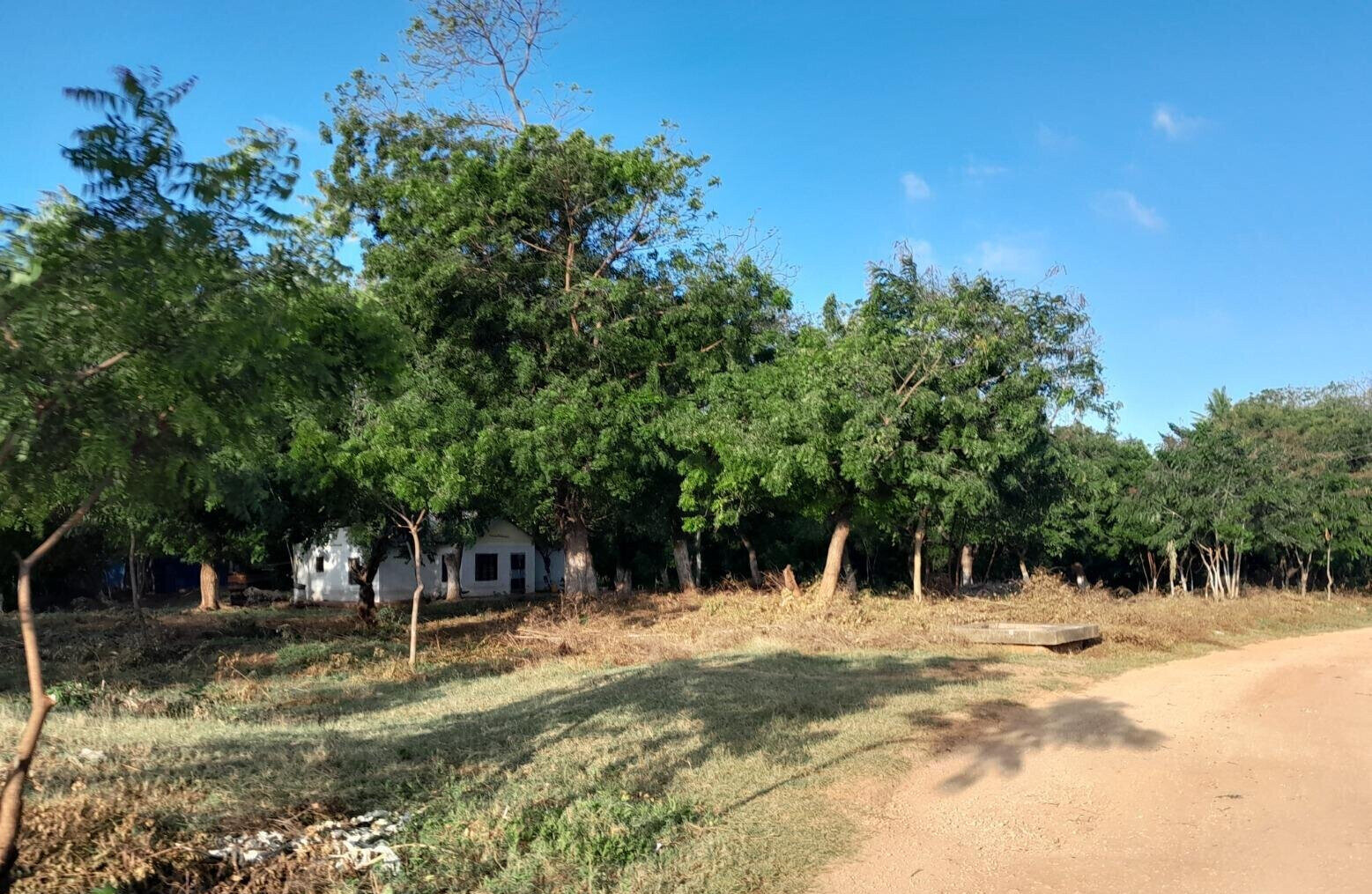 Quarter Acre in Shanzu for KSh 13M