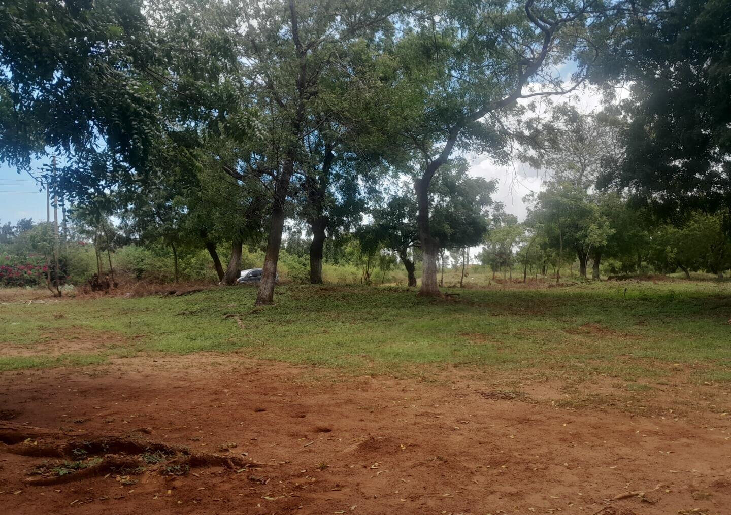 Quarter Acre in Shanzu for KSh 13M