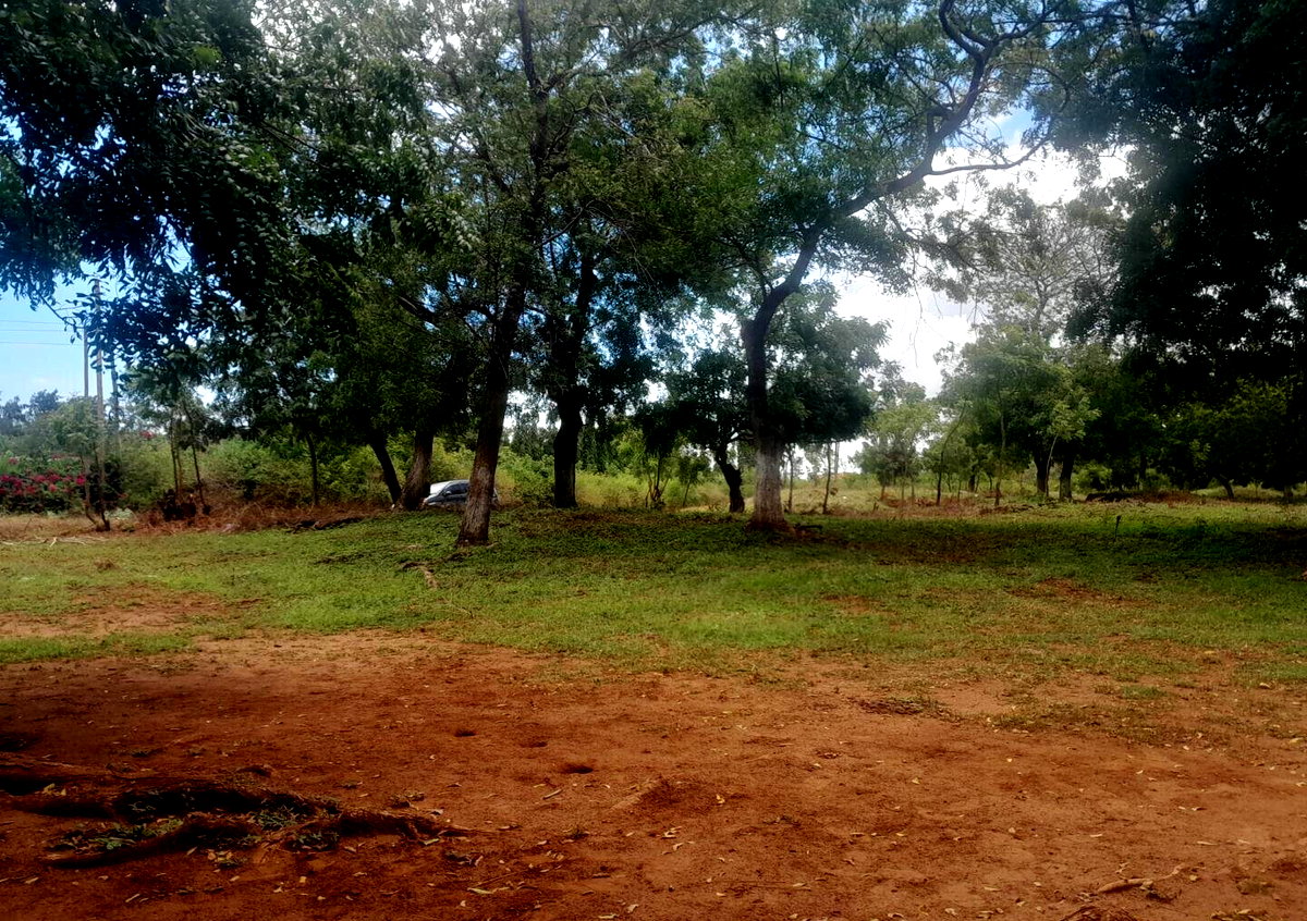 Quarter Acre in Shanzu for KSh 13M